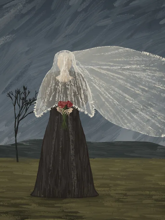 A bride in a black dress and a long white veil in a grey field